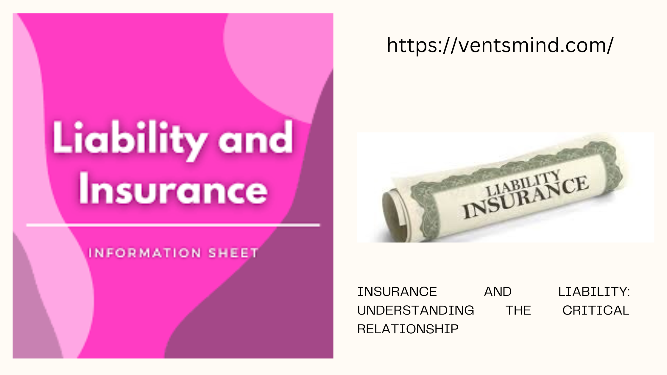 insurance and liability best information 2024: Understanding the Critical Relationship