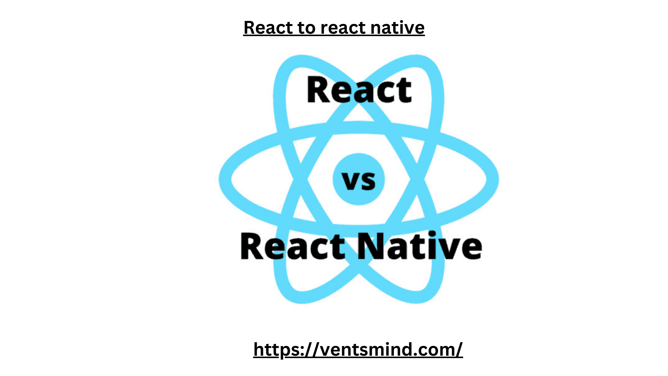 Transitioning from React to React Native: Best for Web Developers 2024